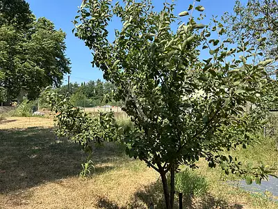 Terrain, 935 m²