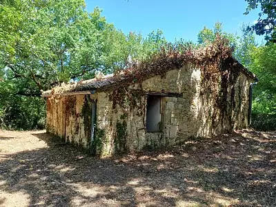 Maison, 30 m²