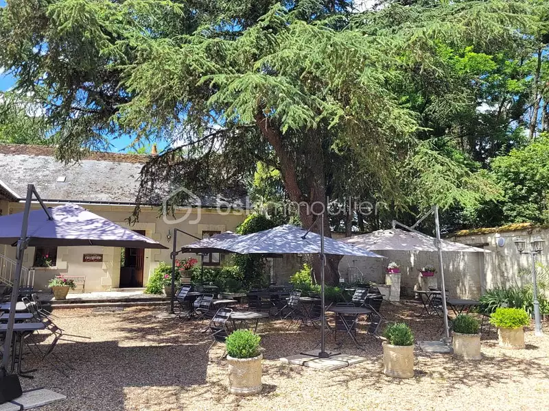 Maison, 560 m²