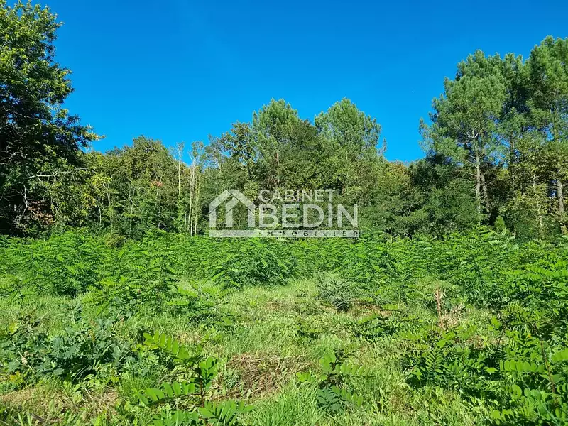 Terrain, 1 000 m²