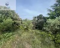Terrain, 6 091 m²