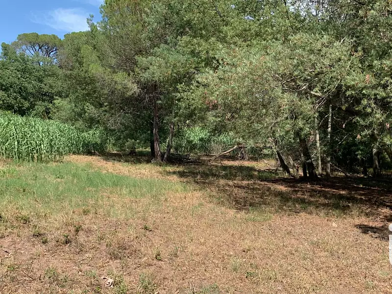 Terrain, 2 554 m²
