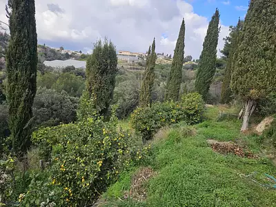 Terrain, 1 002 m²