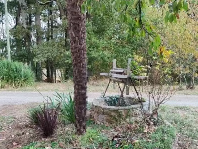 Terrain