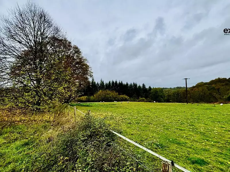 Terrain, 13 504 m²