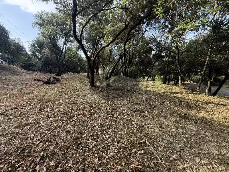 Terrain, 805 m²