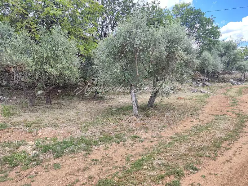 Terrain, 917 m²