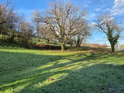 Terrain, 1 210 m²