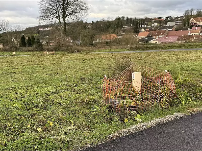 Terrain