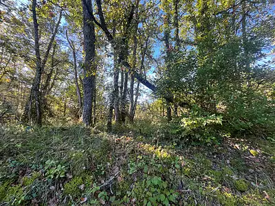 Terrain, 138 015 m²