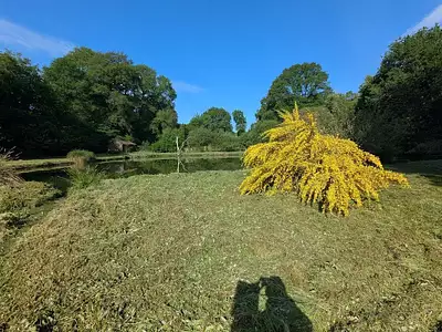 Terrain, 3 900 m²