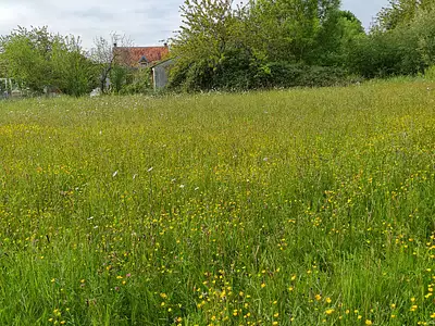 Terrain, 1 980 m²