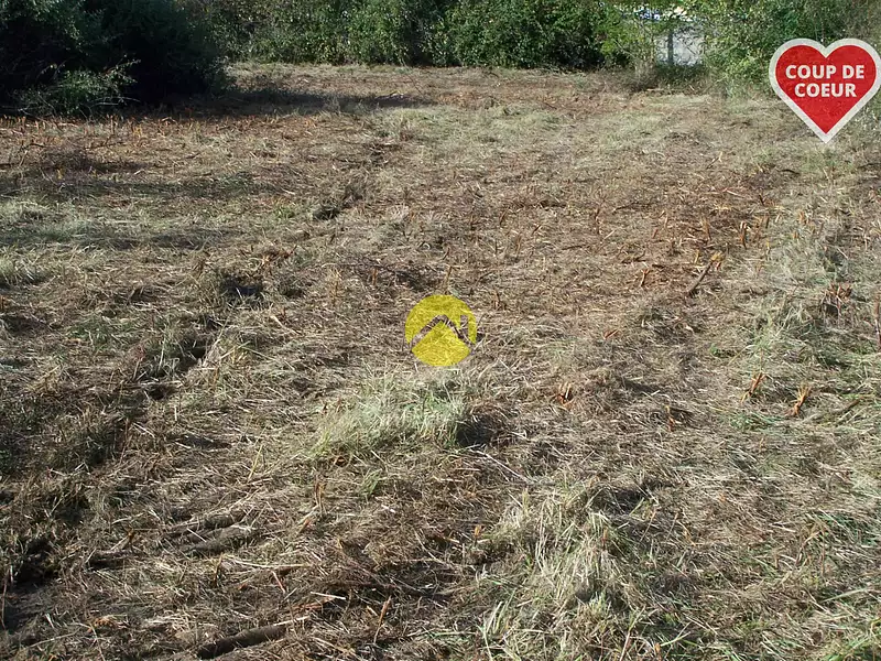 Terrain, 4 295 m²
