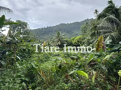 Terrain, 1 310 m²
