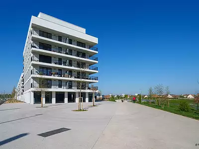 LES TERRASSES DE L'ETANG