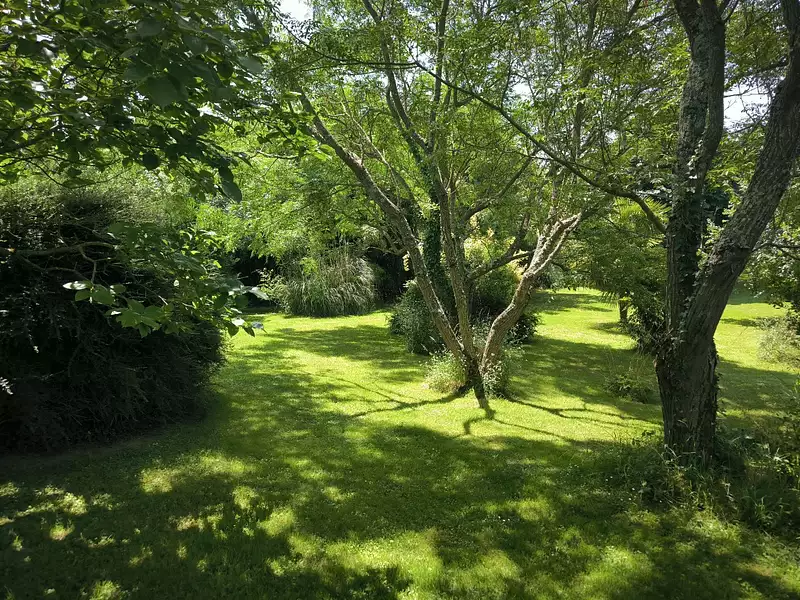 Maison, 308 m²
