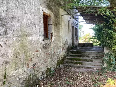 Maison, 300 m²