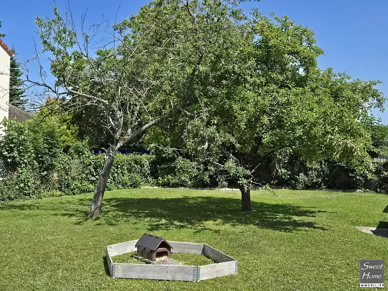 Terrain, 459 m²