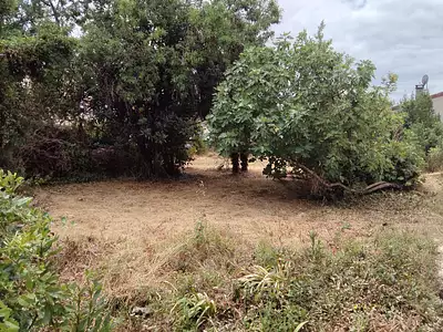Terrain, 445 m²