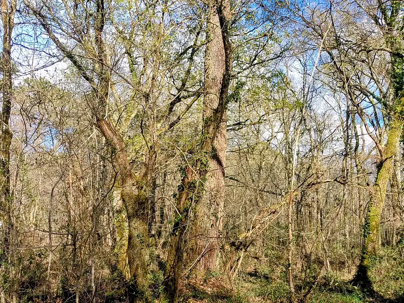 Terrain, 3 058 m²