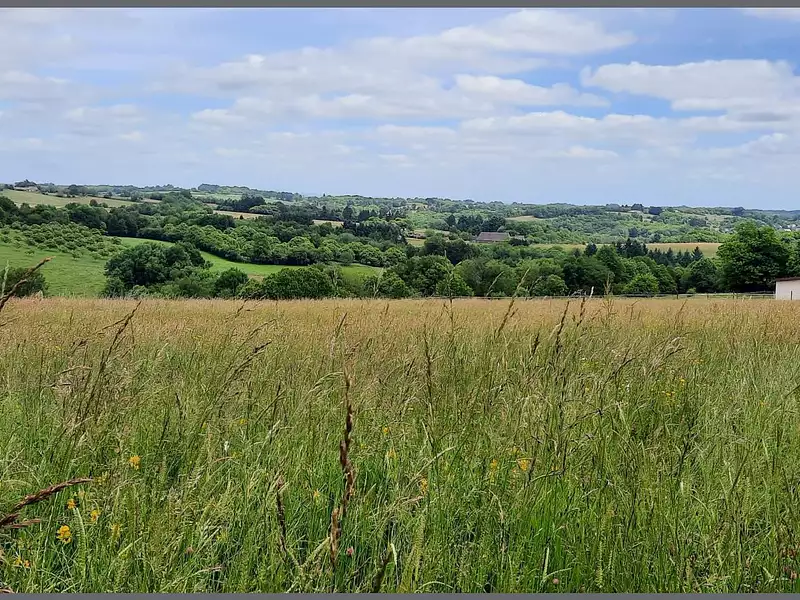 Terrain, 4 900 m²
