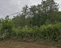 Terrain, 982 m²