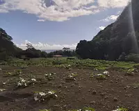 Terrain, 3 000 m²