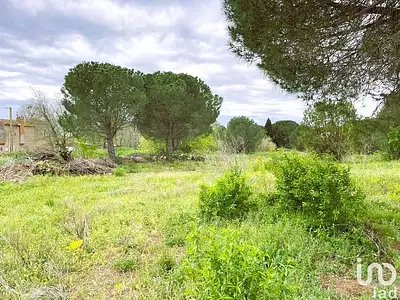Terrain