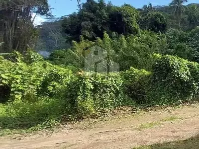 Terrain, 1 000 m²