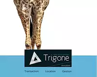 Appartement, 73,39 m²