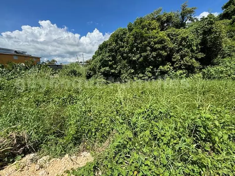 Terrain, 873 m²