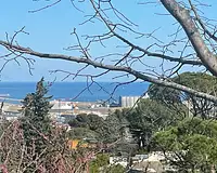 Terrain, 835 m²