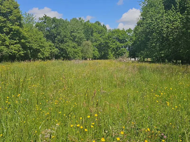 Terrain, 5 181 m²