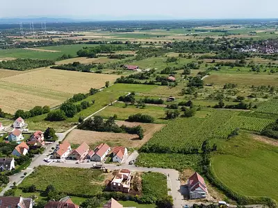 Au pinot
