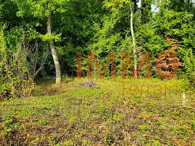 Terrain, 2 785 m²