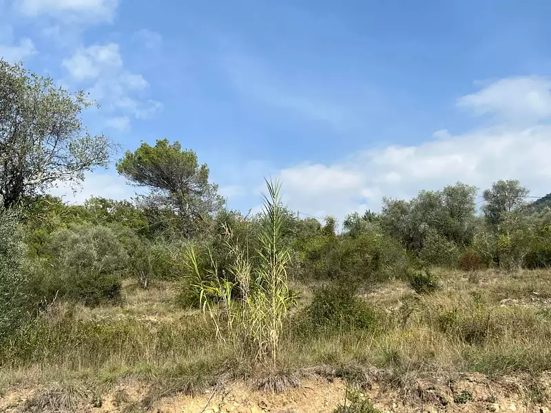 Terrain, 1 143 m²