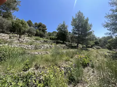 Terrain, 2 452 m²