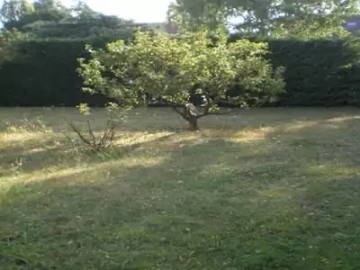 Terrain à bâtir, 295 m²