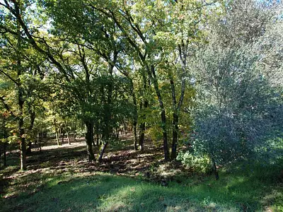 Terrain, 4 745 m²