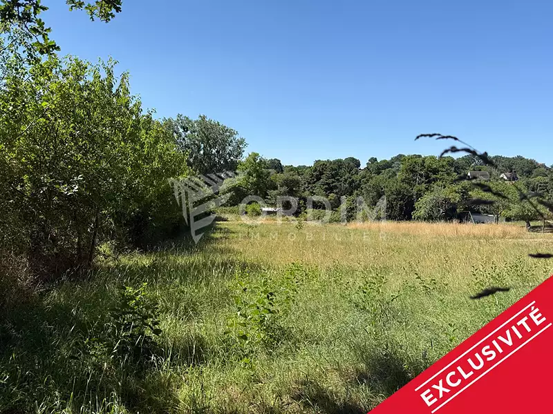 Terrain, 2 165 m²