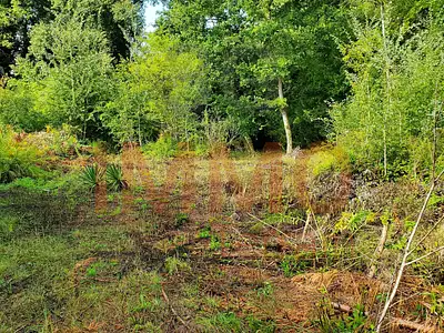 Terrain, 2 785 m²