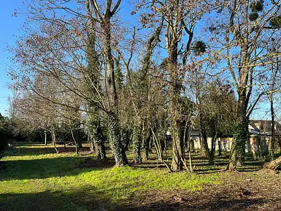 Terrain, 1 650 m²