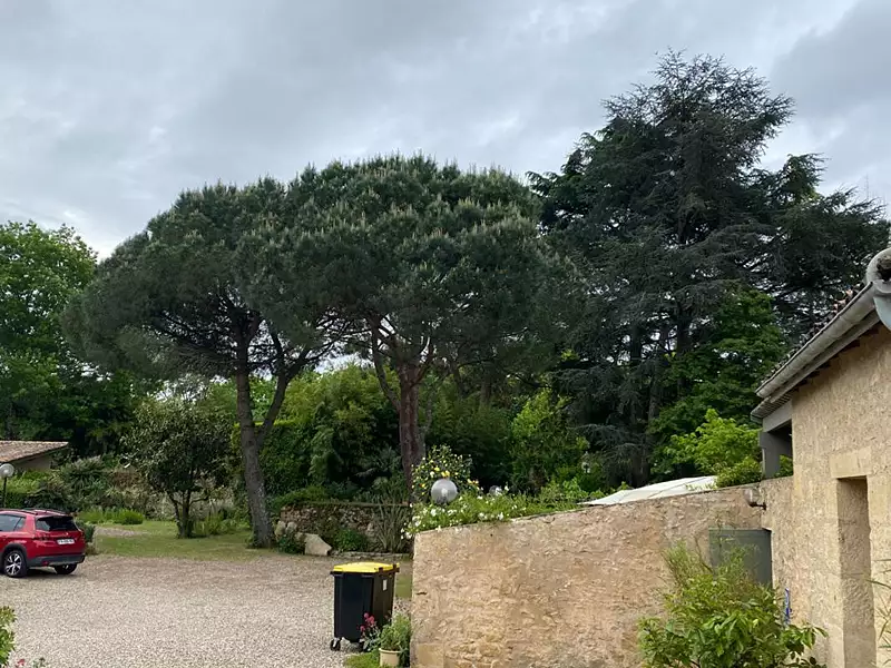 Maison, 700 m²