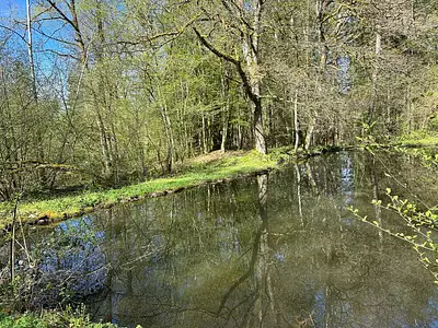 Terrain, 17 892 m²
