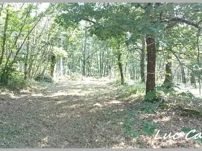 Maison, 170 m²