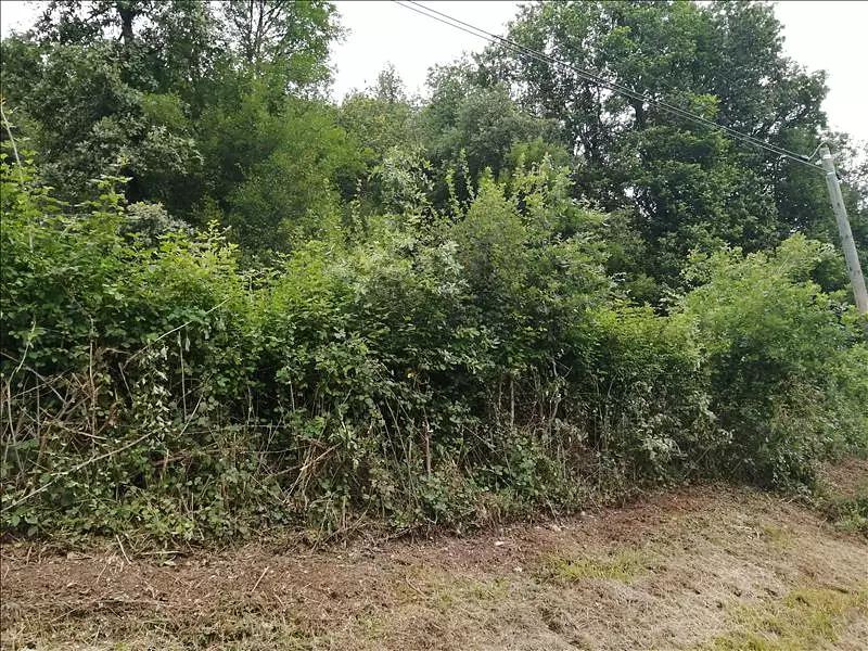 Terrain, 982 m²
