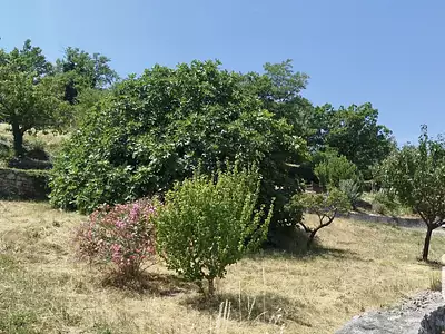 Terrain, 1 000 m²