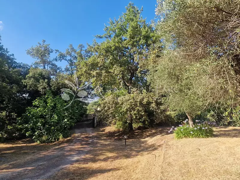 Terrain, 3 000 m²