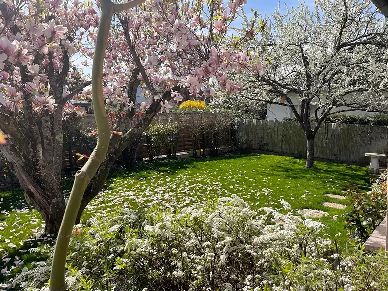 Maison, 246 m²
