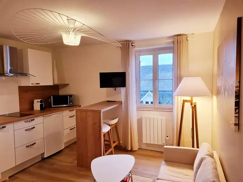 Appartement, 26,3 m²
